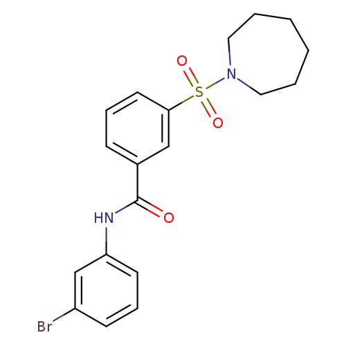 3-(Azepan-1-Ylsulfonyl)-N-(3-Bromophenyl)Benzamide
