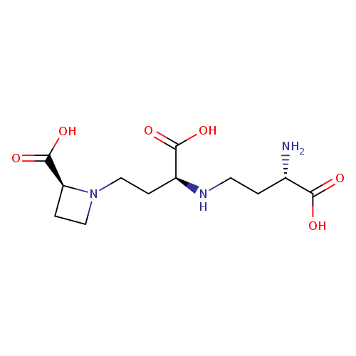 1-Azetidinebutanoic acid, alpha-((3-amino-3-carboxypropyl)amino)-2-car boxy-, (2S-(1(alphaR*(R*)),2R*))-