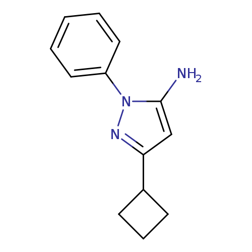 5-cyclobutyl-2-phenylpyrazol-3-amine
