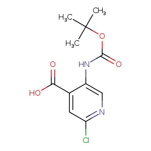 5-((tert-Butoxycarbonyl)amino)-2-chloroisonicotinic acid