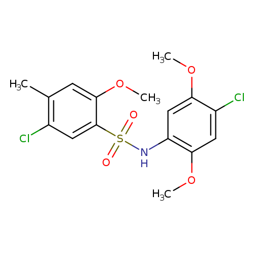 5-chloro-N-(4-chloro-2,5-dimethoxyphenyl)-2-methoxy-4-methylbenzene-1-sulfonamide