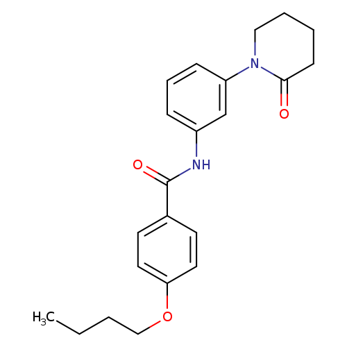 4-butoxy-N-[3-(2-oxopiperidin-1-yl)phenyl]benzamide
