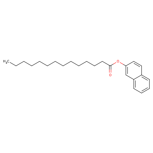 2-Naphthyl Myristate