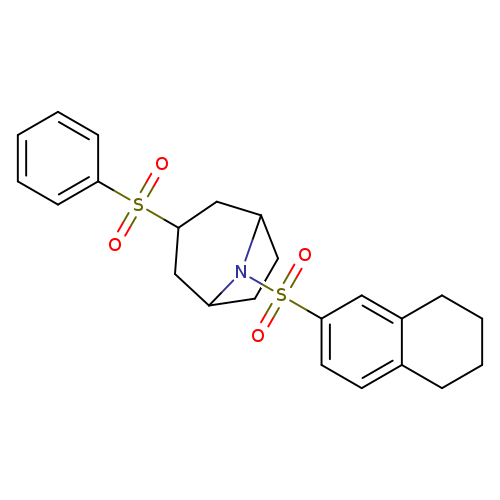3-(benzenesulfonyl)-8-(5,6,7,8-tetrahydronaphthalene-2-sulfonyl)-8-azabicyclo[3.2.1]octane