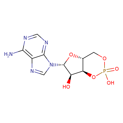 Adenosine Cyclophosphate