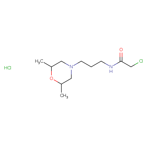 2-chloro-N-[3-(2,6-dimethylmorpholin-4-yl)propyl]acetamide hydrochloride