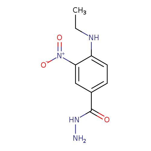 4-(ethylamino)-3-nitrobenzohydrazide
