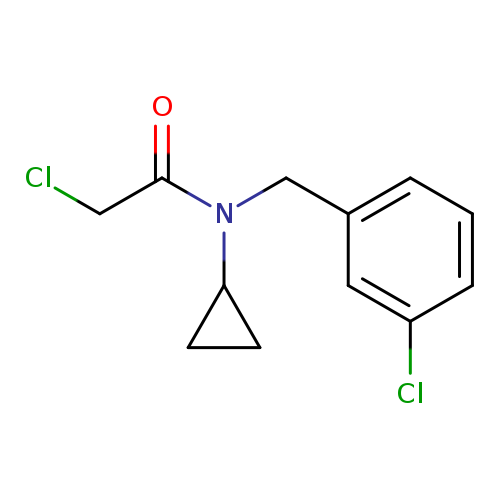 2-Chloro-N-(3-chlorobenzyl)-N-cyclopropylacetamide