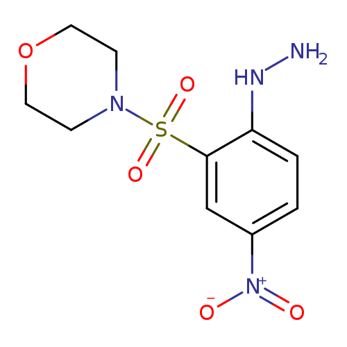 4-(2-hydrazinyl-5-nitrobenzenesulfonyl)morpholine