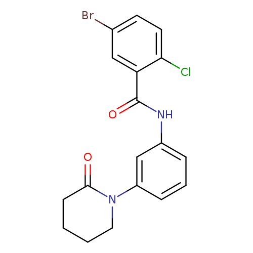 5-bromo-2-chloro-N-[3-(2-oxopiperidin-1-yl)phenyl]benzamide