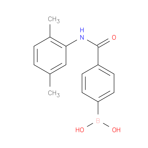 B-[4-[[(2,5-Dimethylphenyl)amino]carbonyl]phenyl]boronic acid