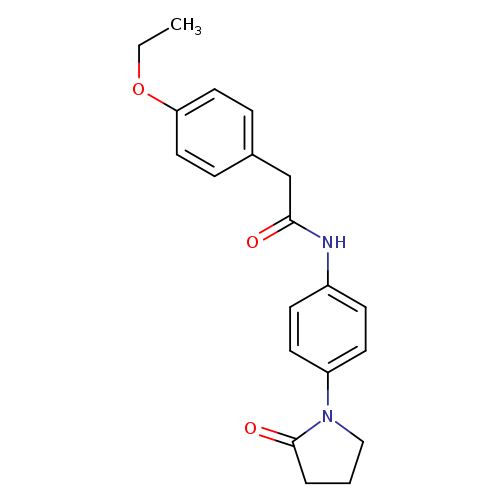 2-(4-ethoxyphenyl)-N-[4-(2-oxopyrrolidin-1-yl)phenyl]acetamide