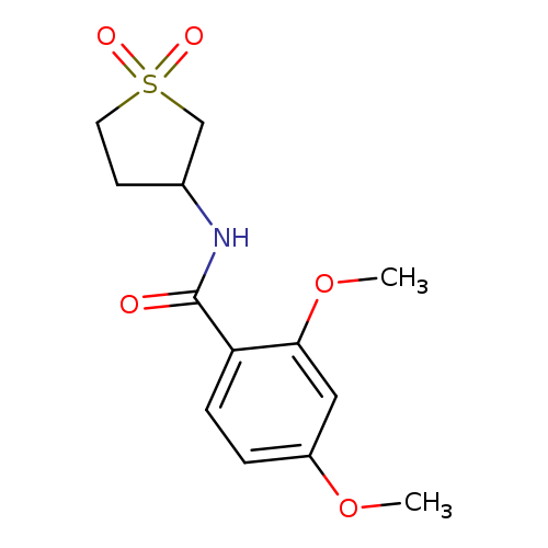 N-(1,1-dioxo-1lambda6-thiolan-3-yl)-2,4-dimethoxybenzamide