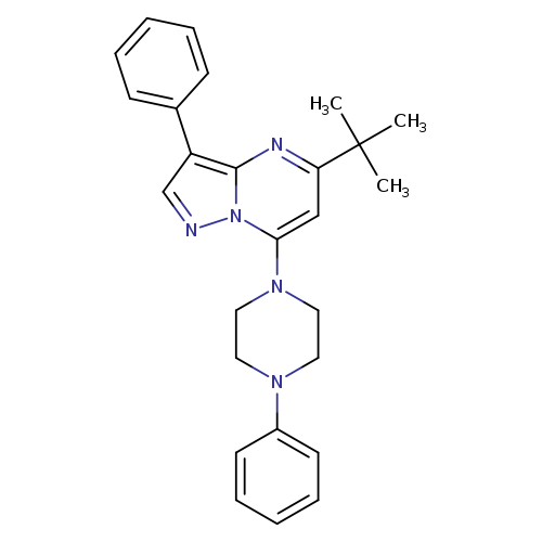 1-{5-tert-butyl-3-phenylpyrazolo[1,5-a]pyrimidin-7-yl}-4-phenylpiperazine