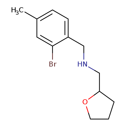 [(2-bromo-4-methylphenyl)methyl](oxolan-2-ylmethyl)amine
