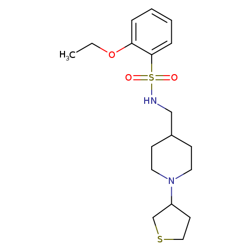 2-ethoxy-N-{[1-(thiolan-3-yl)piperidin-4-yl]methyl}benzene-1-sulfonamide