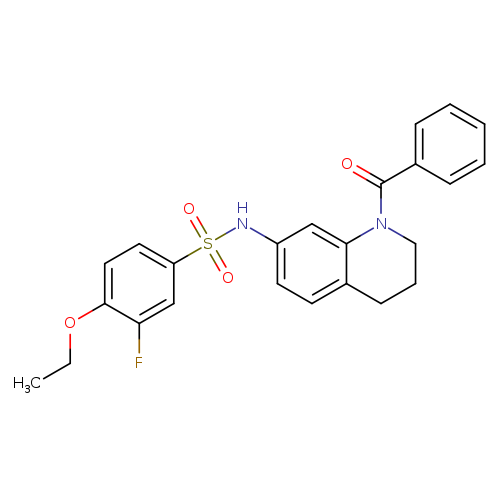 N-(1-benzoyl-1,2,3,4-tetrahydroquinolin-7-yl)-4-ethoxy-3-fluorobenzene-1-sulfonamide