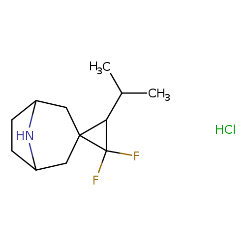 "2',2'-difluoro-3'-(propan-2-yl)-8-azaspiro[bicyclo[3.2.1]octane-3,1'-cyclopropane] hydrochloride"