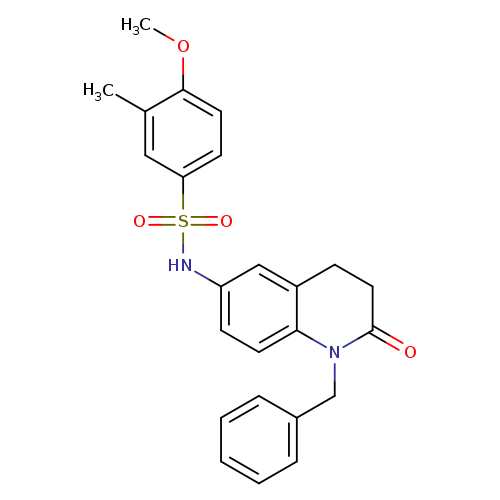 N-(1-benzyl-2-oxo-1,2,3,4-tetrahydroquinolin-6-yl)-4-methoxy-3-methylbenzene-1-sulfonamide