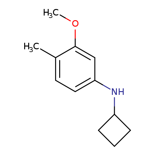 N-cyclobutyl-3-methoxy-4-methylaniline