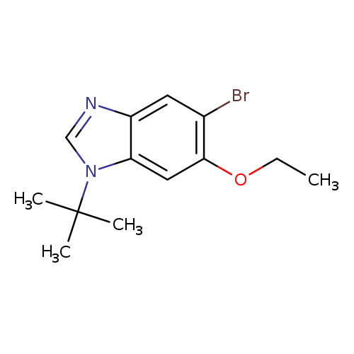 5-Bromo-1-t-butyl-6-ethoxybenzimidazole