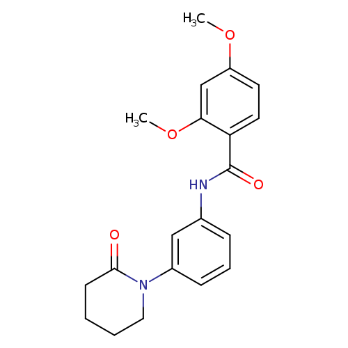 2,4-dimethoxy-N-[3-(2-oxopiperidin-1-yl)phenyl]benzamide