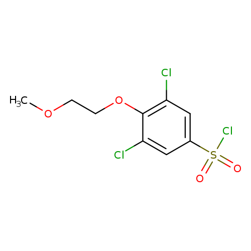 3,5-dichloro-4-(2-methoxyethoxy)benzene-1-sulfonyl chloride