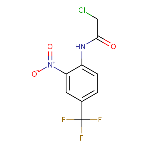 2-chloro-N-[2-nitro-4-(trifluoromethyl)phenyl]acetamide