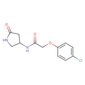 2-(4-chlorophenoxy)-N-(5-oxopyrrolidin-3-yl)acetamide