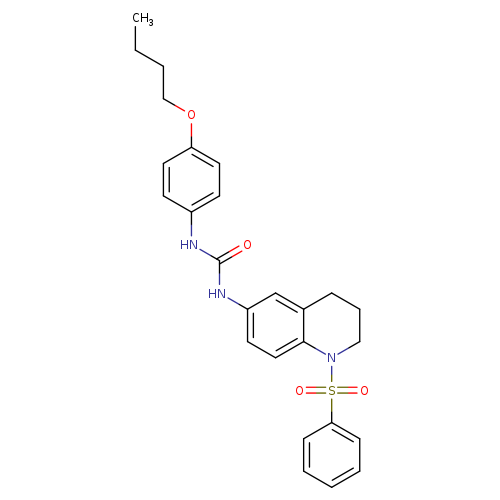 3-[1-(benzenesulfonyl)-1,2,3,4-tetrahydroquinolin-6-yl]-1-(4-butoxyphenyl)urea
