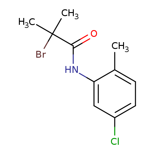 2-Bromo-n-(5-chloro-2-methylphenyl)-2-methylpropanamide