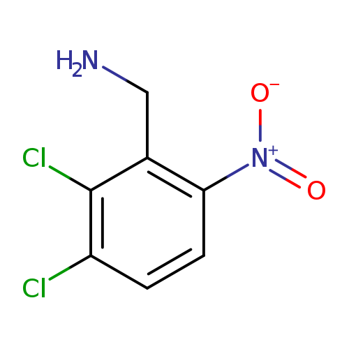 2,3-DICHLORO-6-NITROBENZYLAMINE