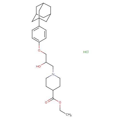 ethyl 1-{3-[4-(adamantan-1-yl)phenoxy]-2-hydroxypropyl}piperidine-4-carboxylate hydrochloride