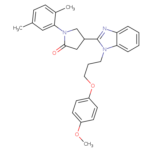 1-(2,5-dimethylphenyl)-4-{1-[3-(4-methoxyphenoxy)propyl]-1H-1,3-benzodiazol-2-yl}pyrrolidin-2-one