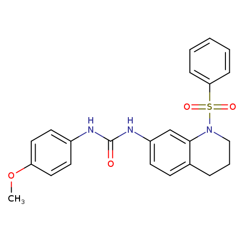 3-[1-(benzenesulfonyl)-1,2,3,4-tetrahydroquinolin-7-yl]-1-(4-methoxyphenyl)urea