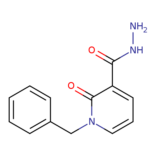 1-benzyl-2-oxo-1,2-dihydropyridine-3-carbohydrazide