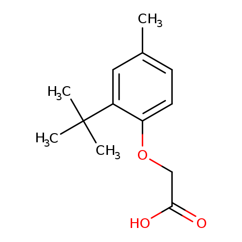 2-(2-tert-butyl-4-methylphenoxy)acetic acid