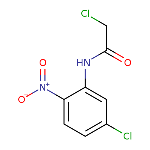 2-chloro-N-(5-chloro-2-nitrophenyl)acetamide