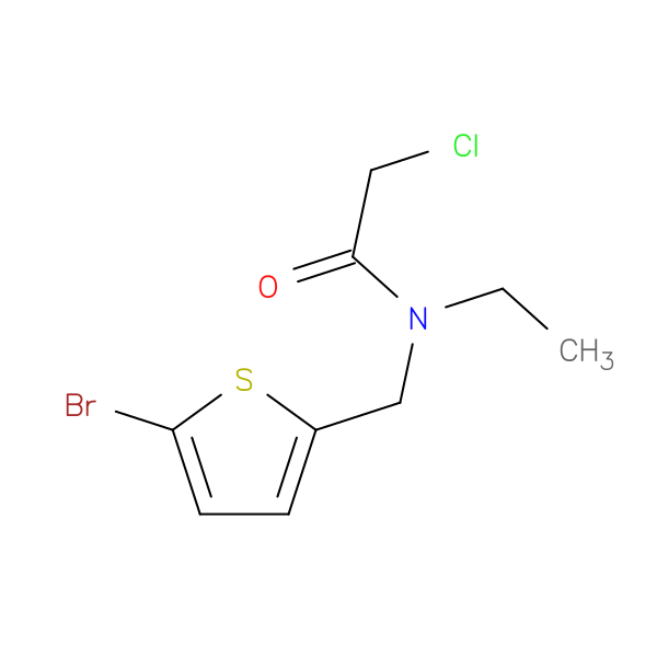 N-[(5-bromothiophen-2-yl)methyl]-2-chloro-N-ethylacetamide