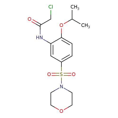 2-chloro-N-[5-(morpholine-4-sulfonyl)-2-(propan-2-yloxy)phenyl]acetamide