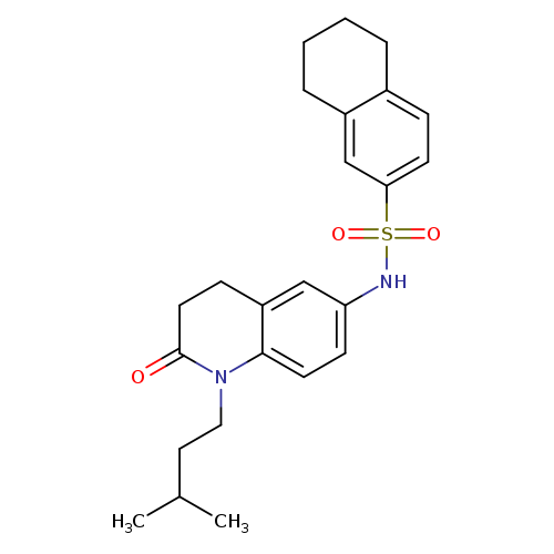 N-[1-(3-methylbutyl)-2-oxo-1,2,3,4-tetrahydroquinolin-6-yl]-5,6,7,8-tetrahydronaphthalene-2-sulfonamide