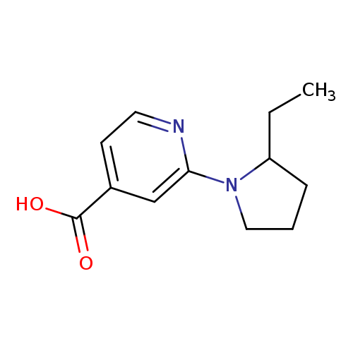 2-(2-ethylpyrrolidin-1-yl)pyridine-4-carboxylic acid