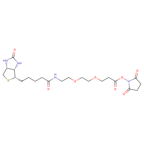 N-Succinimidyl 9-(Biotinamido)-4,7-dioxanonanoate