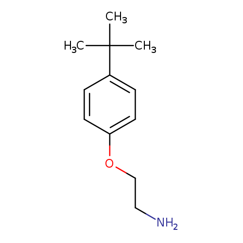 2-(4-TERT-BUTYLPHENOXY)ETHANAMINE HYDROCHLORIDE