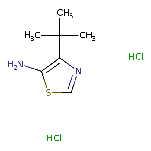 4-tert-butyl-1,3-thiazol-5-aminedihydrochloride