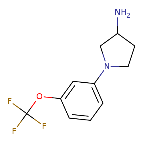 1-[3-(Trifluoromethoxy)phenyl]pyrrolidin-3-amine