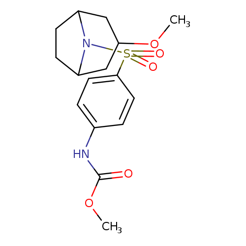 methyl N-[4-({3-methoxy-8-azabicyclo[3.2.1]octan-8-yl}sulfonyl)phenyl]carbamate