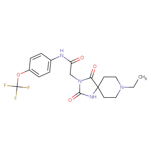 2-{8-ethyl-2,4-dioxo-1,3,8-triazaspiro[4.5]decan-3-yl}-N-[4-(trifluoromethoxy)phenyl]acetamide