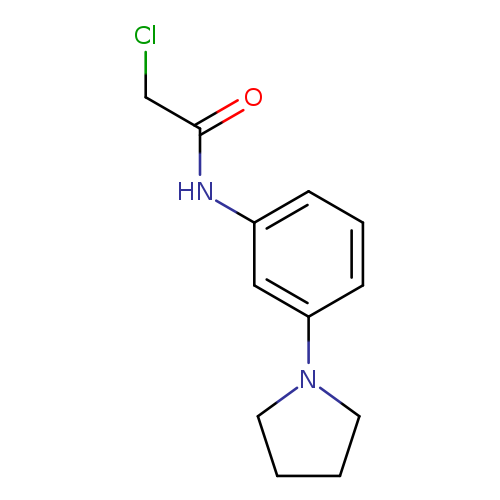 2-Chloro-N-(3-(pyrrolidin-1-yl)phenyl)acetamide