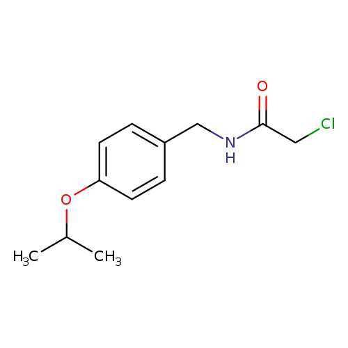 2-chloro-N-{[4-(propan-2-yloxy)phenyl]methyl}acetamide